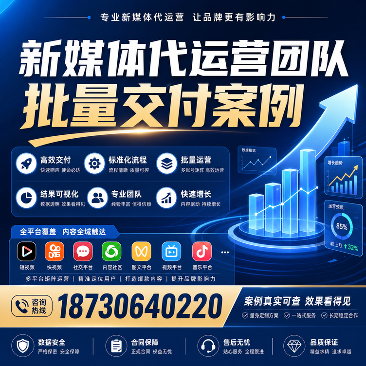 南阳代运营公司多客户账号批量高效交付案例